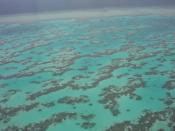 The Great Barrier Reef, as seen from a helicopter