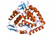 English: Cartoon representation of the molecular structure of protein registered with 1tdw code. Deutsch: Grafik des Molekularstruktur von jenem Protein, das mit 1tdw code registriert ist. Plattdüütsch: Grafik, de de Molekularstruktur von dat Protein wies