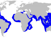 English: Tiger shark (Galeocerdo cuvier) distribution map