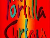 Tortilla Curtain (US cover)