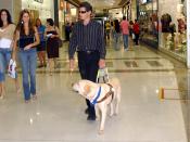 A blind man is led by a guide dog in Brasília, Brazil.