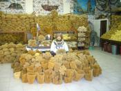 English: Display of natural sponges for sale on Kalymnos in Greece.
