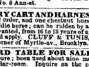 New York Times want ad 1854—the only New York Times ad with NINA for men.