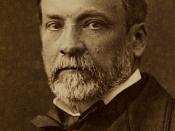 Louis Pasteur (1822-1895), Albumen silver print on card.
