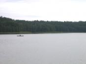 Lietuvių: Autoriaus nuotrauka, 2005.08.28. Glūko ežero šiaurinis krantas. Nuotrauka gali būti platinama pagal GFDL licenciją.
