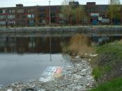 The Lachine Canal in Montreal Canada, is polluted.