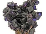 Fluorite :: Locality: Annabel Lee mine, Harris Creek Sub-District, Illinois - Kentucky Fluorspar District, Hardin County, Illinois, USA (Locality at mindat.org) :: An old Annabel Lee Mine fluorite cluster, with crystals of very deep purple, measuring to a