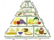 English: Loma Linda University Vegetarian Food Pyramid
