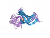 English: Cartoon representation of the molecular structure of protein registered with 1h95 code. Deutsch: Grafik des Molekularstruktur von jenem Protein, das mit 1h95 code registriert ist. Plattdüütsch: Grafik, de de Molekularstruktur von dat Protein wies