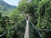 English: Canopy Walkway in the Taman Negara National Park, Malaysia