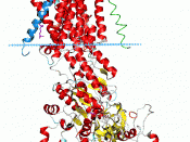 Protein image from OPM database