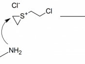 English: Mustard gas (bis(chloroethyl) thioether) alkylating a DNA amine base.