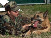 English: Mayport, Fla. (Dec. 19,2006) - Master-at-Arms 3rd Class Leslie Orand gives positive reinforcement to Amber, an explosive detector dog, after completing her obstacle training course. Orand and Amber are assigned to the Security Military Working Do