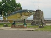 This large walleye on the shores of Mille Lacs Lake greets visitors to Garrison, Minnesota.