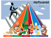 The updated USDA food pyramid, published in 2005, is a general nutrition guide for recommended food consumption for humans.