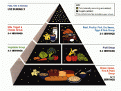 The USDA's original food pyramid from 1992.