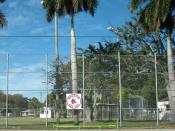 English: A little league field in Downtown Fort Myers supporting the Red Sox.