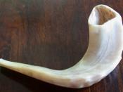 A shofar made from a ram's horn is traditionally blown in observance of Rosh Hashanah, the beginning of the Jewish civic year.