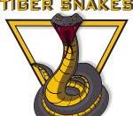 Geelong Tiger Snakes