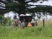 Amish country