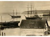 Seattle Harbor (Elliot Bay), 1878 (Taken from the foot of Cherry street)