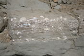 Beach wall with at Año Nuevo State Reserve with Fossils