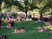 English: The central knoll at Tompkins Square Park in New York City where people sunbathe and relax.