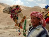 Bedouin and his camel on the road to Jericho