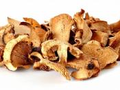 This image shows a few dried mushrooms.