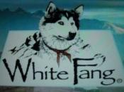 White Fang (1993 TV series)