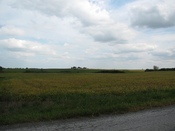 An rural area west of Route 41 and Lowell, Indiana.