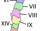 Regions of Chile by their roman numeral.
