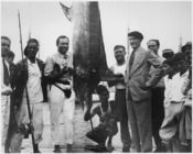Ernest Hemingway and Others with Marlin July, 1934 - NARA - 192675