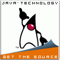 Java (software platform)