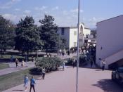 English: Interior campus view of Fullerton Junior College. Taken with a 35mm Exakta VX, using Ektachrome slide film.