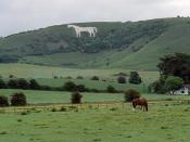 The Westbury White Horse