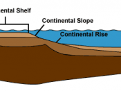 Cross-section of continental margin depicting the particular elements