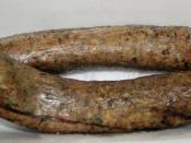 English: Smoked boudin blanc, a type of American Cajun sausage made from pork and rice that is stuffed in a sausage casing and smoked.