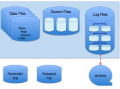 English: Oracle Database Disk Structures