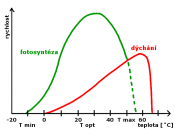 English: Photosynthesis and respiration - temperature and light graph Česky: Graf závislosti rychlosti fotosyntézy a dýchání na teplotě a intenzitě světla.