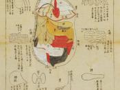 English: Okamoto Ippō (attr.) - Picture of Inner Body, Gozô roppu (heart, liver, spleen, lungs, kidneys, gallbladder, stomach, small intestine, large intestine bladder & sanshō), mid Edo.jpg