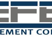 Tefen Management Consulting - company logo