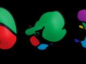 Comparison of stomach glandular regions from several mammalian species. Yellow: esophagus; green: aglandular epithelium; purple: cardiac glands; red: gastric glands; blue: pyloric glands; dark blue: duodenum. Frequency of glands may vary more smoothly bet