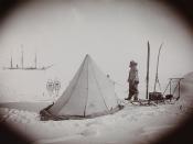 Frederick A. Cook foran et telt i Antarktis.