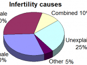 English: Causes of infertility, data compiled in the United Kingdom 2009. Reference: Regulated fertility services: a commissioning aid - June 2009, from the Department of Health UK