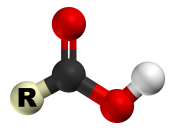 The 3D structure of the carboxyl group