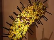 Model of bubonic plague bacteria - Smithsonian Museum of Natural History - 2012-05-17