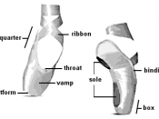 English: Exterior parts of a pointe shoe.