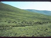 Hillside in Lesotho