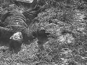 English: In Nanking Massacre, a boy was killed by a Japanese soldier with the butt of a rifle, because he didn't take off his hat. Original caption of the photo: This farmer boy was killed by the butt of a rifle, because he did not take of hes hat.